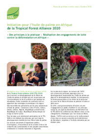 africa-palm-oil-initiative-briefing-7-francais.pdf
