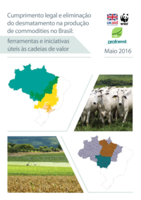 iniciativas_cumprimento_legal_eliminacao_desmatamento_brazil.pdf