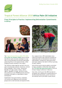 africa-palm-oil-initiative-briefing-7-english.pdf
