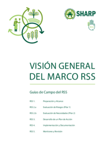 vision-general-del-marco-rss-_-spanish.pdf